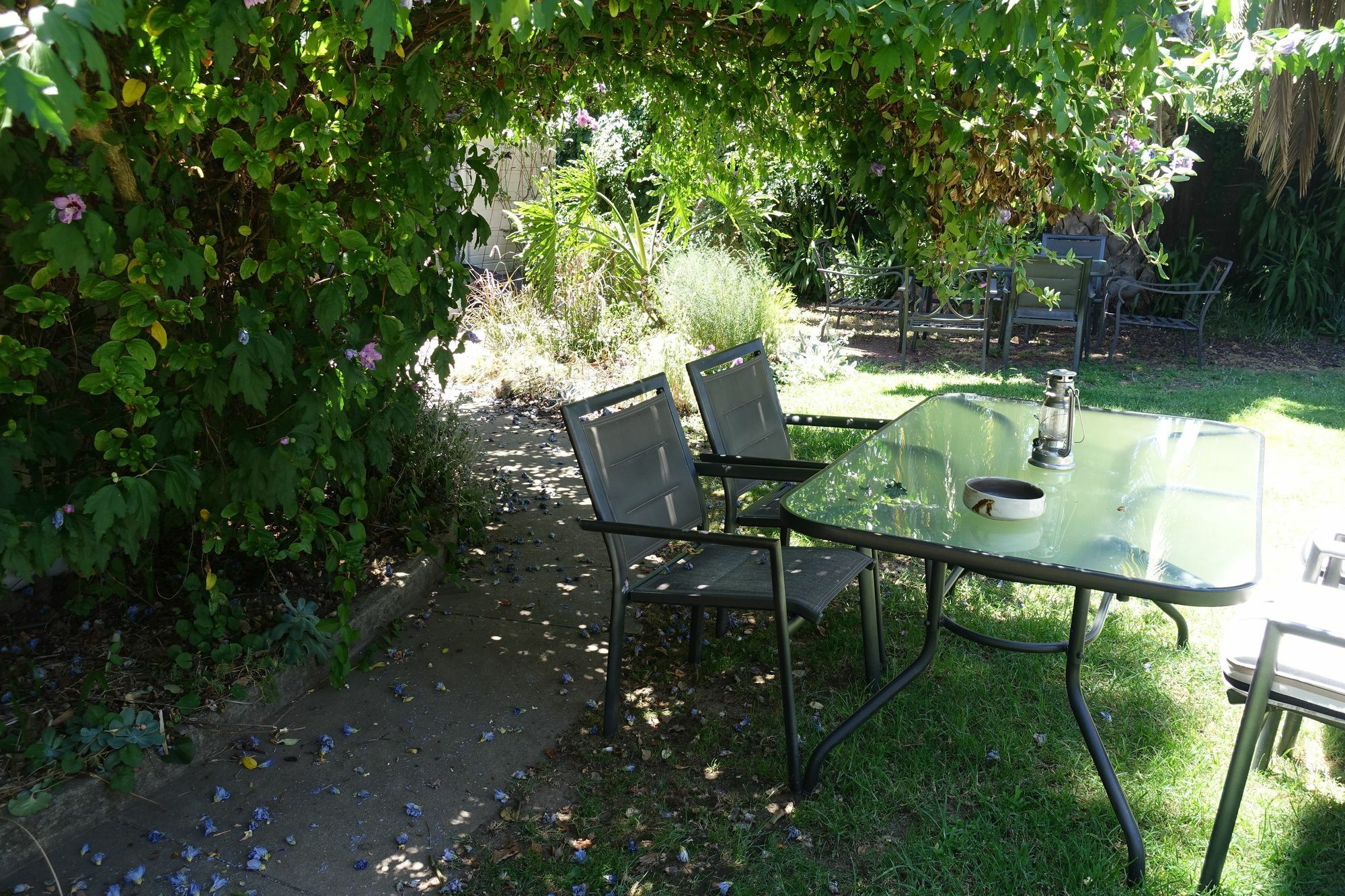 בנאלה Benson House & Benson Lodge מראה חיצוני תמונה